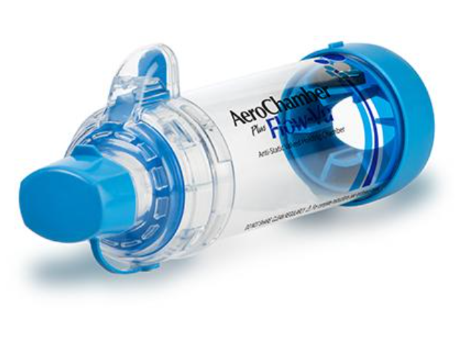 Valved Holding Chamber with Mouthpiece
