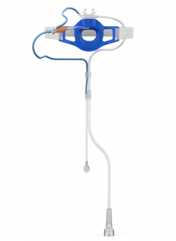 Combined bite block and Detachable Dual Nasal Cannula