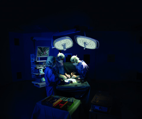 surgical light system