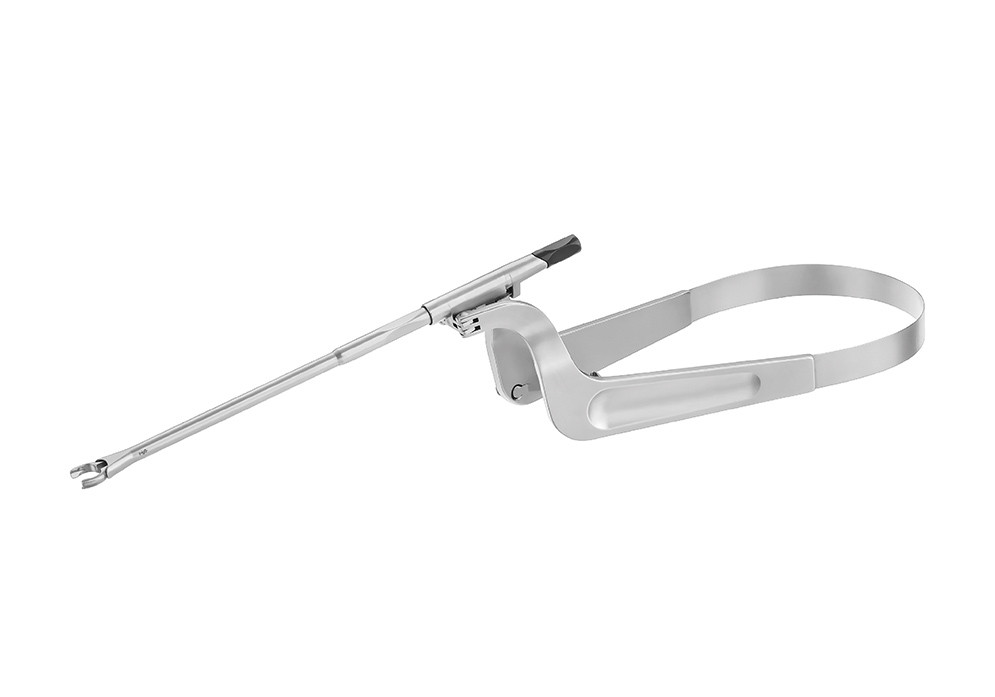 Aneurysm Clips